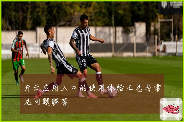 开云应用入口的使用体验汇总与常见问题解答